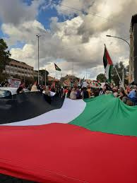 Manifestazione per la Palestina