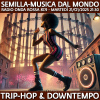 Trip-hop & downtempo